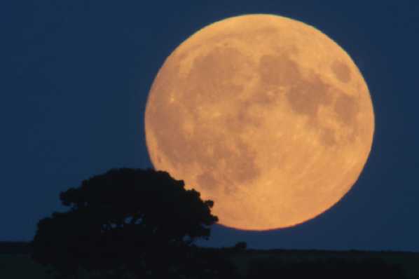 27 September 2015 - 19-02-42.jpg
A supermoon ! Which occurs when the moon is full at its perigee. ie the closest it gets to us (226,000 miles). Later on there was a lunar eclipse. But I went to bed.
#SupermoonOverDartmouth #DartmouthMoon